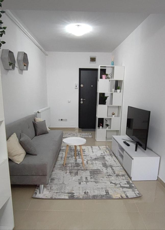 Ego Residence Apartment クルージュ＝ナポカ エクステリア 写真